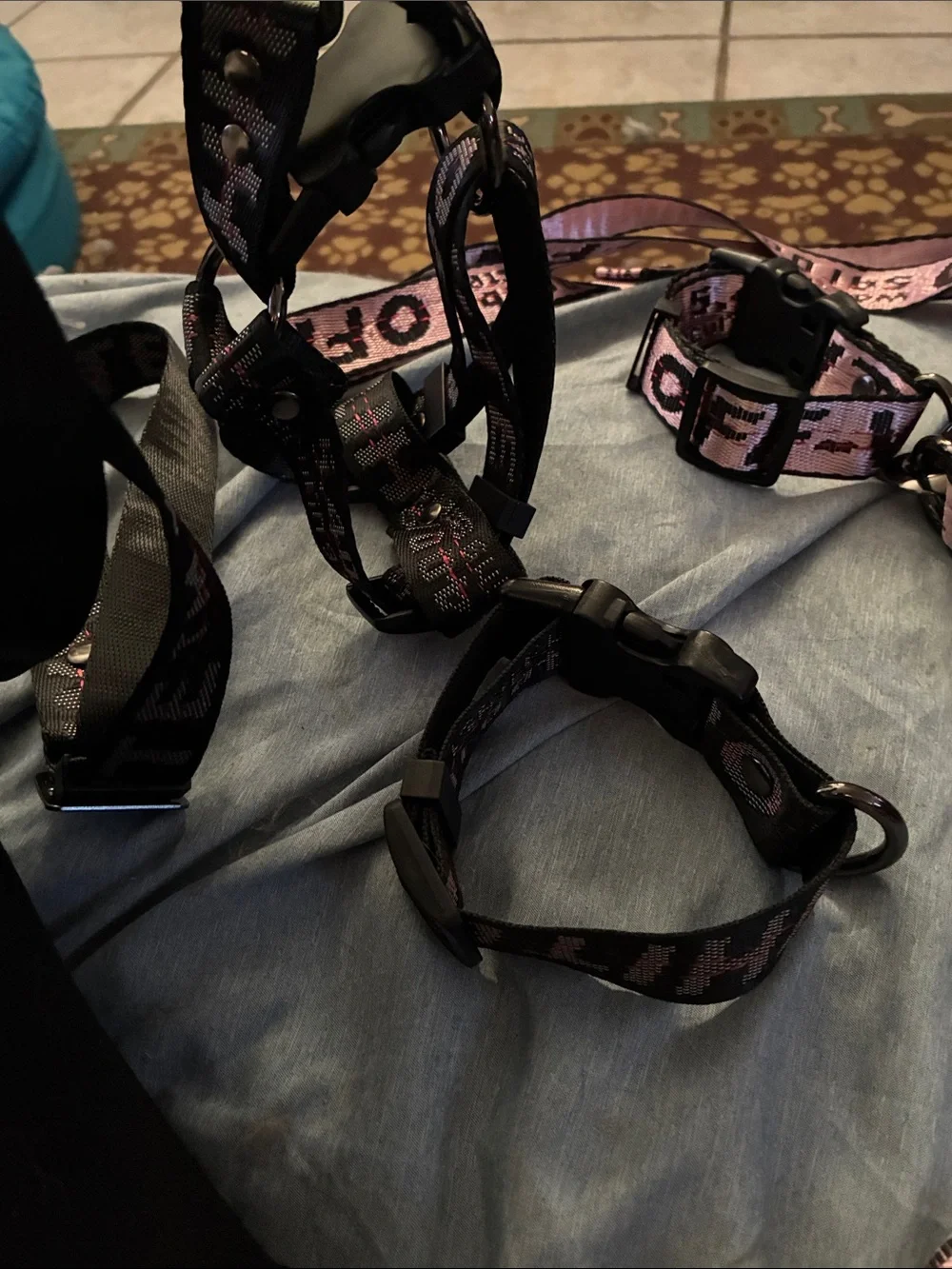 2xsmall, one small off white
Leash, collar, step in double clamp harness - Picture 5 of 5